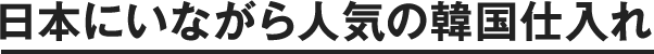 日本にいながら人気の韓国仕入れ